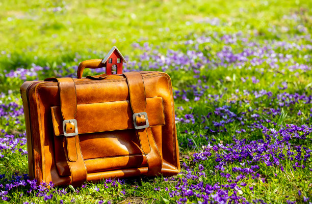 小小的房子和小提箱，在春天盛开着紫色花朵的草地上图片下载