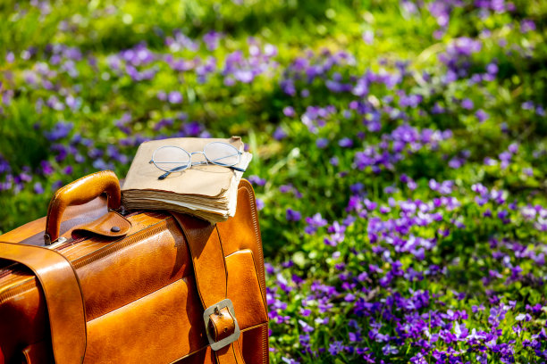 戴着眼镜的复古包和旧书在紫色的花草地上图片下载