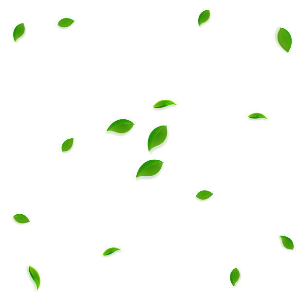 飘落的绿叶，新鲜的茶叶，随机的叶子飞图片下载