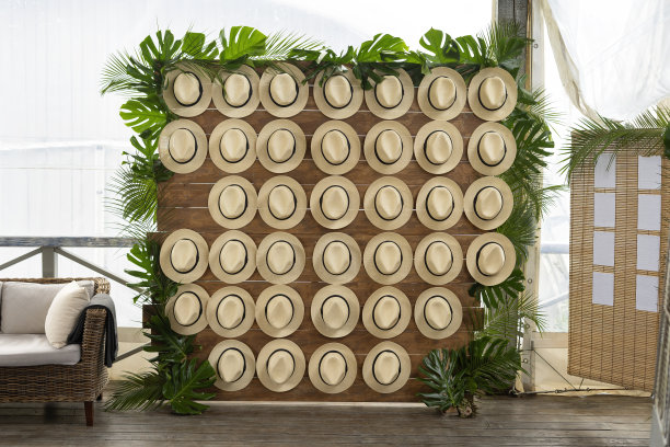 挂着帽子的墙上衣架。2号房间的装饰很漂亮。图片下载