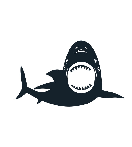 黑白鲨鱼孤立在白色背景上图片下载