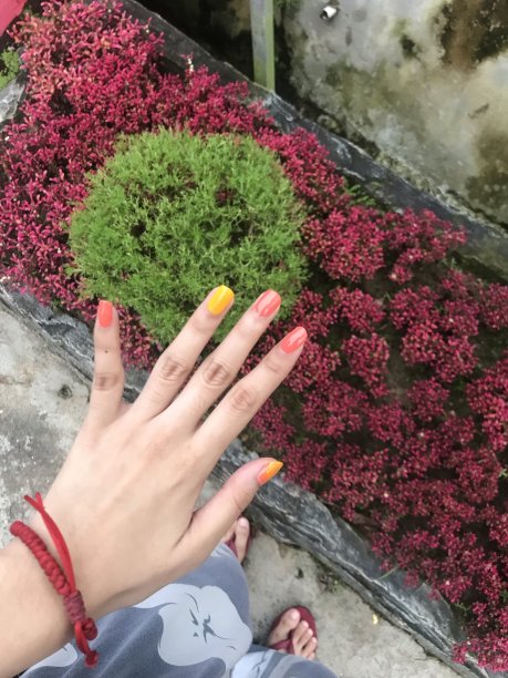 指甲和花园图片下载