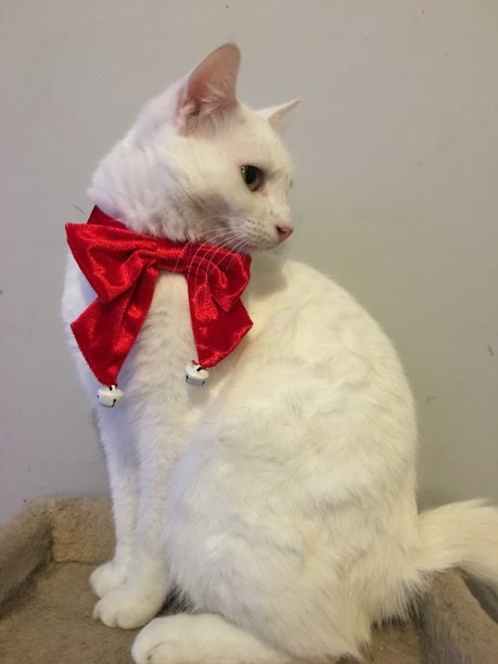 过着舒服的生活图片下载