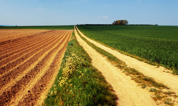 小路乡村沼泽坎布里奇郡乡村英国农田-拍摄的电影素材图片