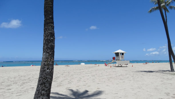 蓝天下的夏威夷海滩上的救生员亭和棕榈树图片下载