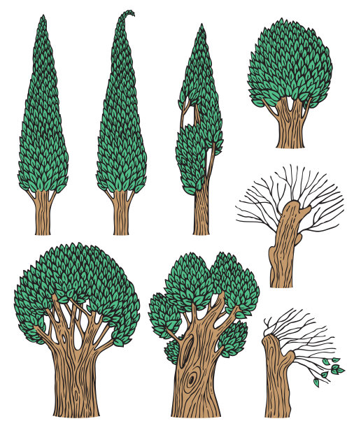 在白色背景上的一组老落叶树图片下载