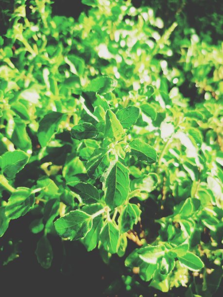 坦工厂图片下载