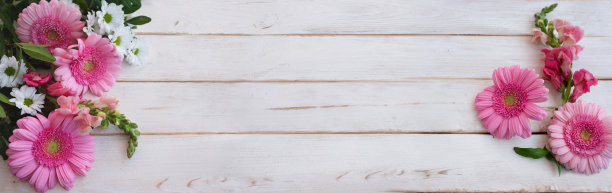 母亲节的花香背景_图片下载