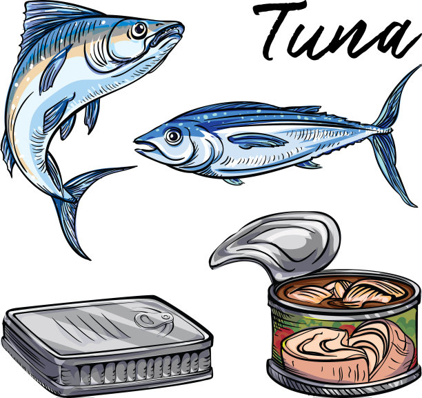 金枪鱼图标设置卡通风格图片下载