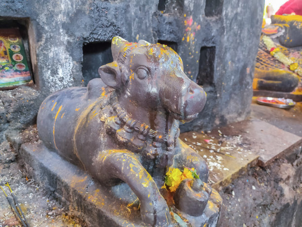 古南迪公牛的股票照片雕刻出来的灰色石头应用姜黄在公牛上进行仪式，重点在南迪雕像在印度卡纳塔克邦。图片下载