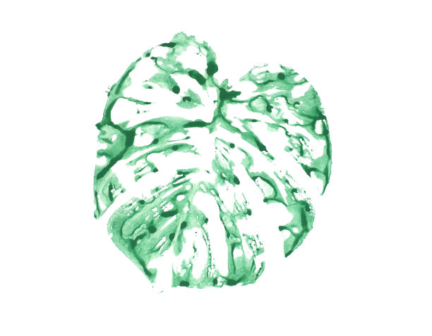 水彩画棕榈叶将棕榈叶上的水涂上颜色，然后放在纸上图片下载