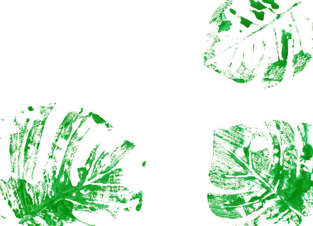 水彩画棕榈叶将棕榈叶上的水涂上颜色，然后放在纸上图片下载