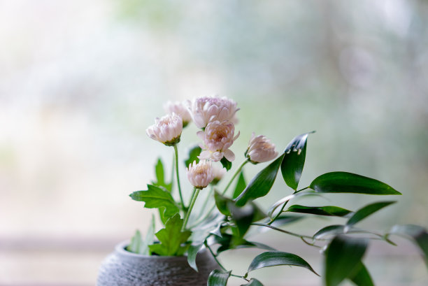 陶器上的花卉摆设图片下载