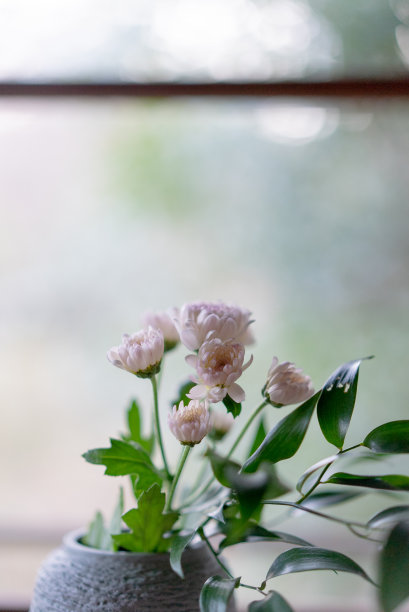 陶器上的花卉摆设图片下载