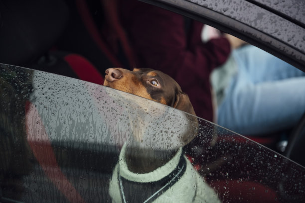 我们要去海滩!图片下载