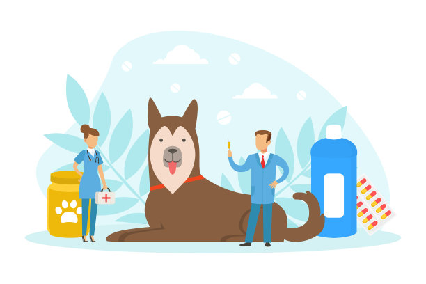 小型兽医检查和治疗图片下载