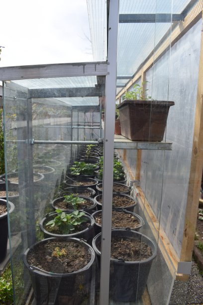 种植箱图片下载