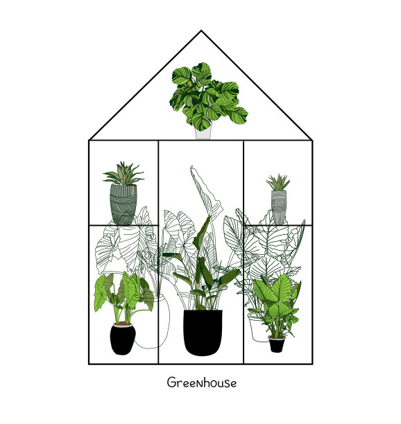 温室白底花屋图片下载