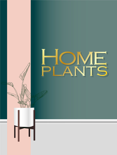 现代时尚植物的室内概念图片下载