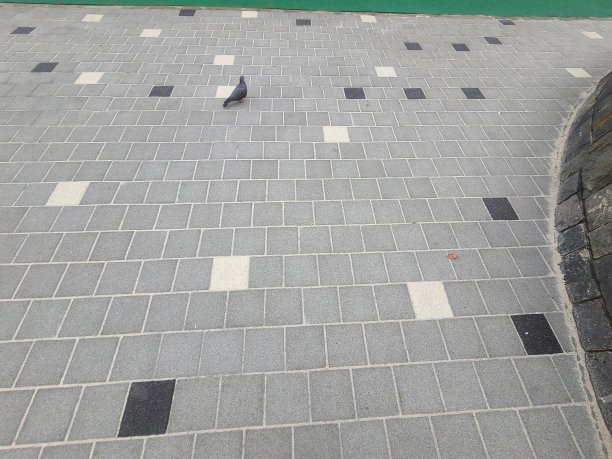 比杜尔吉 · 赛 · 平华 · 巴达格尾巴图片下载