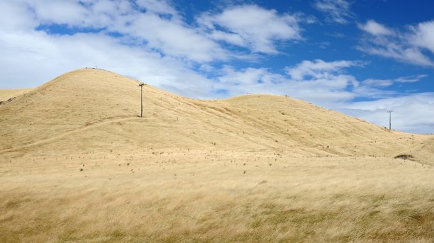 黄色草原风景在阴天的山上图片下载