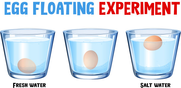 浮蛋科学实验图片下载