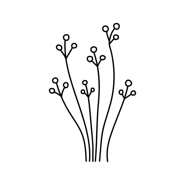 草孤立。涂鸦草。程式化的草。草墨水。赫伯标志。涂鸦草,草。手写矢量风格化草高细茎在白色的背景。黑色和白色的草。图片下载