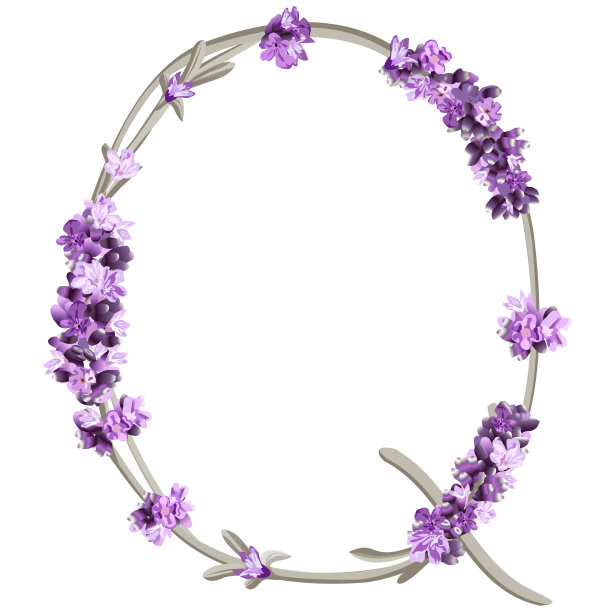 向量图像中的大写字母Q在英语字母表中以薰衣草小枝的形式出现图片下载