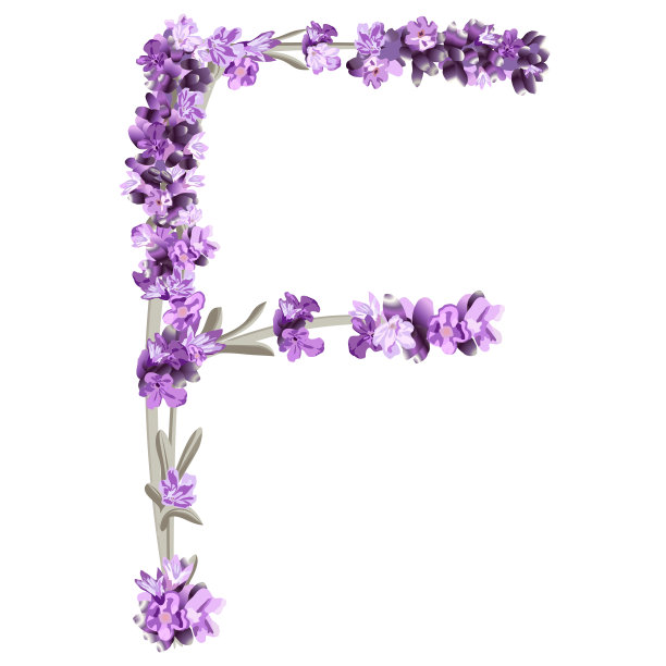 向量图像中的大写字母F以英文字母薰衣草的形式出现图片下载