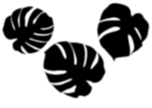 阴影叠加效果的照片。阳光下，白墙上棕榈叶和热带树枝的模糊阴影。图片下载