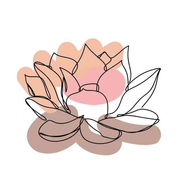 在彩色背景上的线性风格的花图片下载