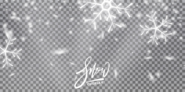 雪花覆盖冬天圣诞雪景图片下载