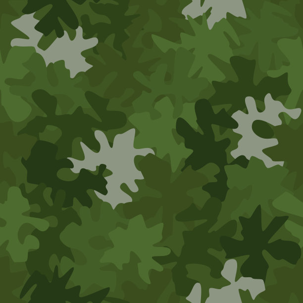 迷彩图案背景的经典服装图片下载