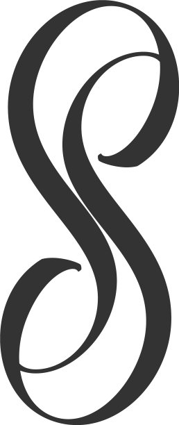 S字母标志健康字母标记组合类型图片下载