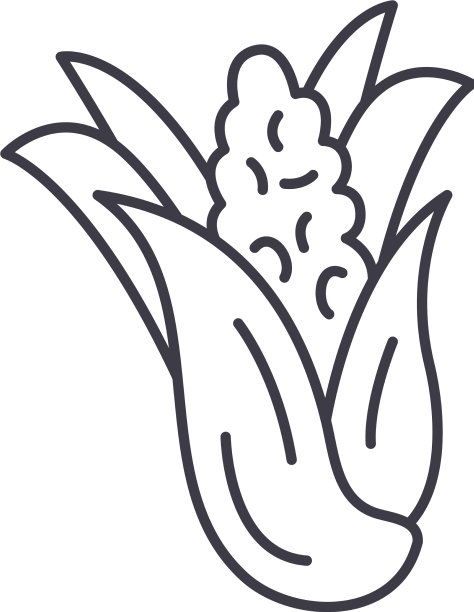 玉米植株图标线性孤立图片下载