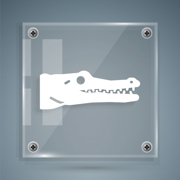 白色鳄鱼图标孤立在灰色背景图片下载