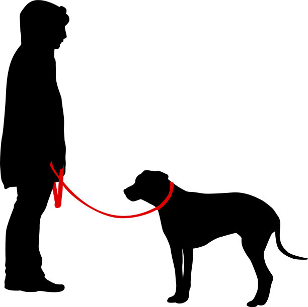 杜宾猎犬黑色的轮廓上的白色图片下载