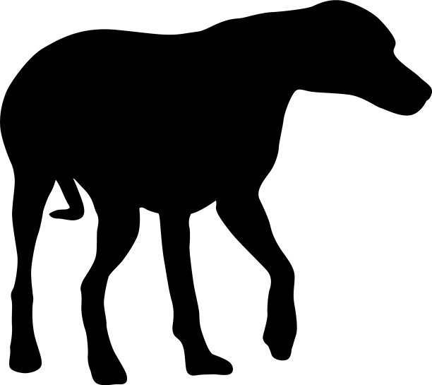 杜宾猎犬黑色的轮廓上的白色图片下载