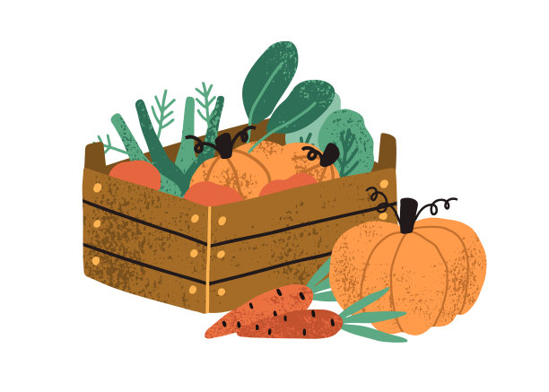 当地的有机收获作物在一个木箱里图片下载