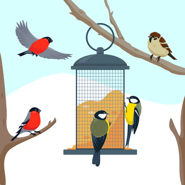 鸟食器在树枝和鸟类上图片下载