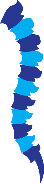 脊柱的标志图片图片下载