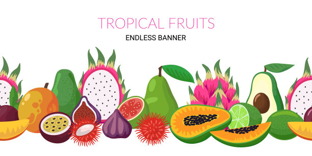 无尽的无缝横幅与异国情调的热带图片下载