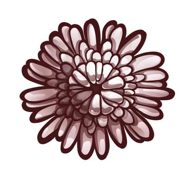Aster bud，俯视图。黑白手绘图片下载