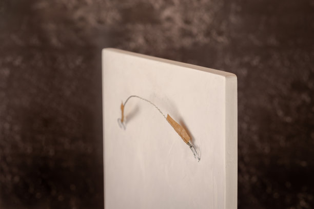 背面的粘土植物浅浮雕与挂钩挂在墙上时尚的客厅室内。3D花石膏装饰。现代和豪华的室内空间。图片下载