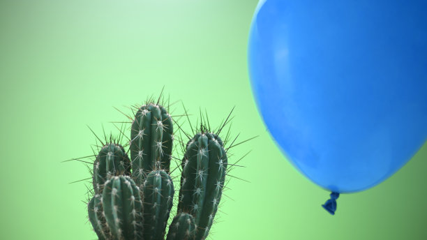 气球和仙人掌的特写镜头图片下载