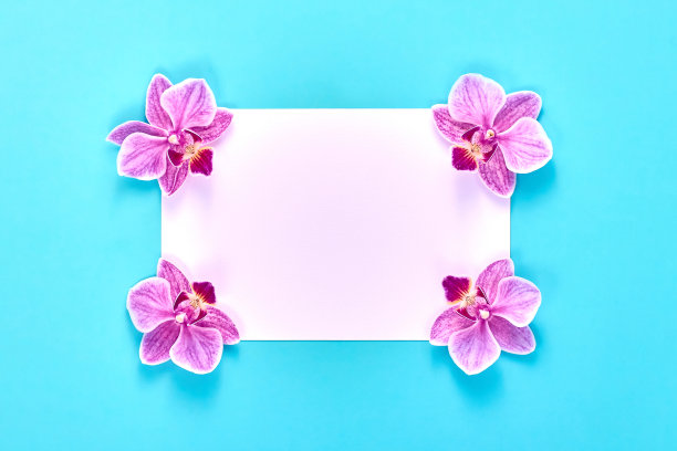 兰花画在蓝色背景上的彩色兰花的画鲜花俯视图图像。复制空格键。浪漫的花朵。文字和设计的空间。一个贺卡。图片下载