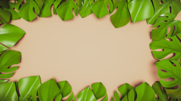 模板与怪物的叶子在柔和的粉红色背景图片下载