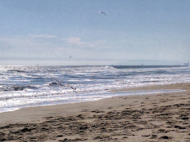 杭廷顿海滩的海岸线图片下载