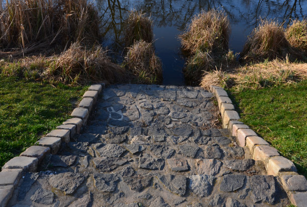进入池塘或自然栖息地游泳图片下载