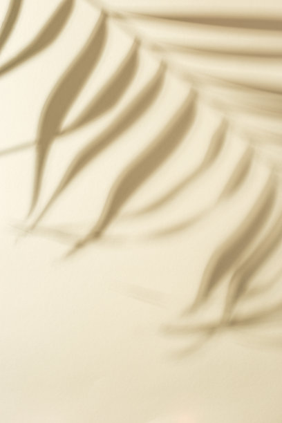 天然的绿色棕榈叶，带有遮阳的浅黄色。夏季简约的概念，美丽的日光图片下载